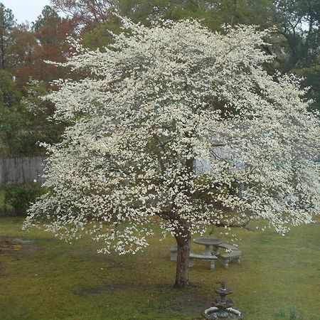 Edenfield House Bed and Breakfast Swainsboro Εξωτερικό φωτογραφία
