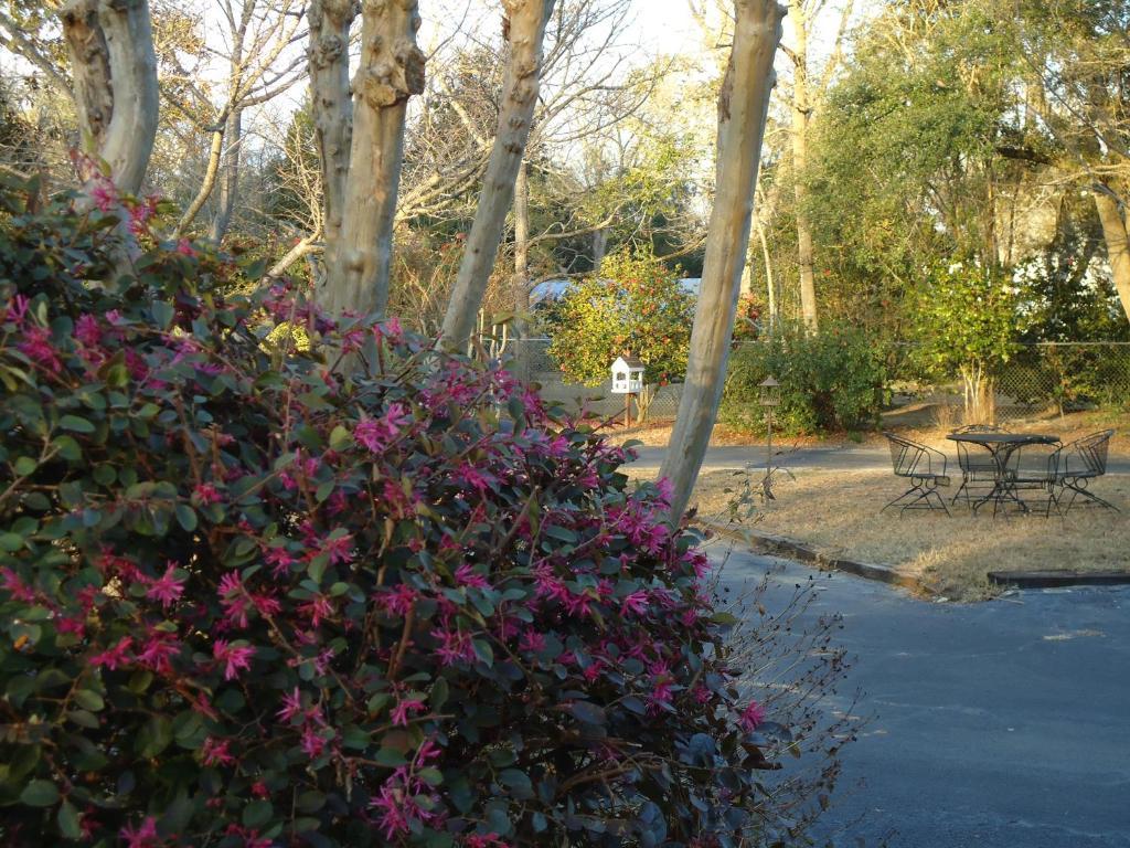 Edenfield House Bed and Breakfast Swainsboro Εξωτερικό φωτογραφία