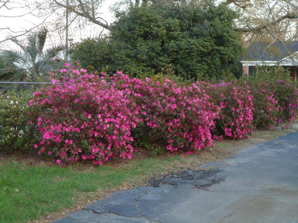 Edenfield House Bed and Breakfast Swainsboro Εξωτερικό φωτογραφία