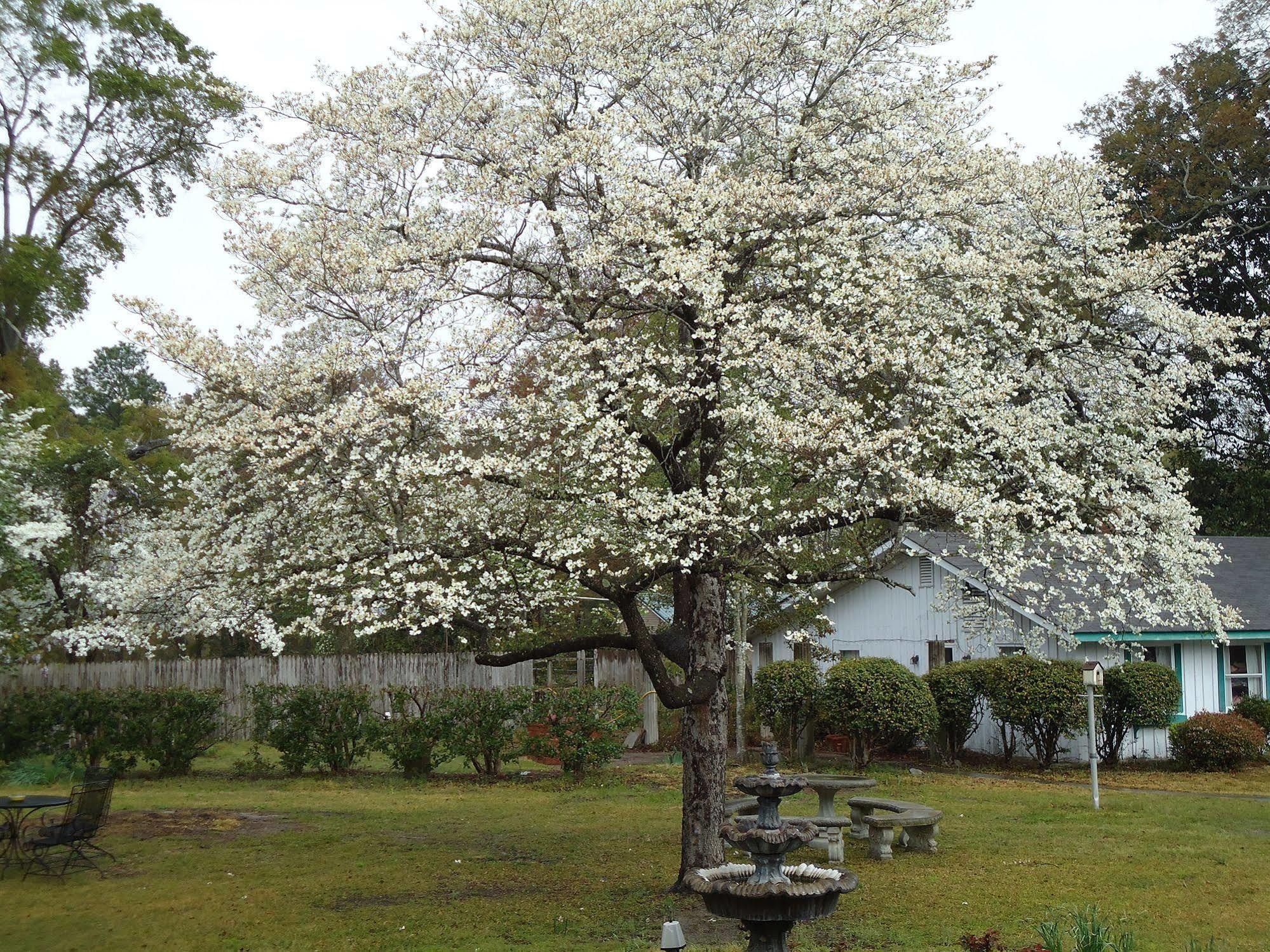 Edenfield House Bed and Breakfast Swainsboro Εξωτερικό φωτογραφία