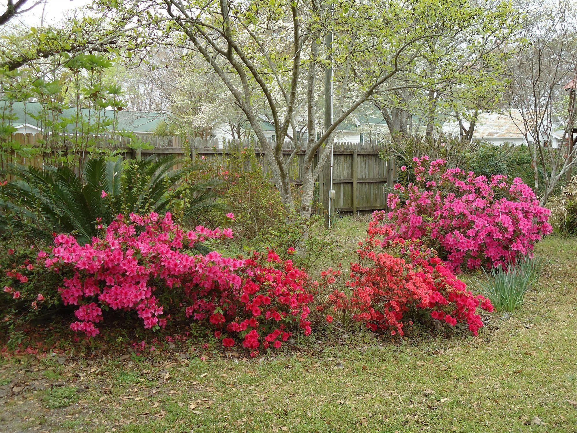 Edenfield House Bed and Breakfast Swainsboro Εξωτερικό φωτογραφία